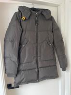 Parajumpers Dames/Meiden jas, maat Young Large 176 of XS/S, Ophalen of Verzenden, Zo goed als nieuw, Maat 36 (S), Overige kleuren