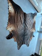 Koeien kleed / huid vloerkleed, Huis en Inrichting, 150 tot 200 cm, 200 cm of meer, Ophalen of Verzenden, Zo goed als nieuw