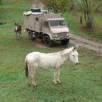 Mercedes-Benz Unimog 1966, Chemisch toilet, Buscamper of Camperbus, Reservewiel, Tot en met 2