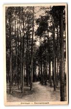 Blaricum, Dennenbosch, Verzenden, 1940 tot 1960, Gelopen, Noord-Holland