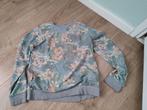 2 nette truien, Petrol and Abercrombie & Fitch, Kinderen en Baby's, Kinderkleding | Maat 176, Jongen, Gebruikt, Ophalen of Verzenden