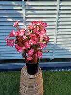 Kunst Bloesemboom nieuw, Huis en Inrichting, Woonaccessoires | Kunstplanten en Kunstbloemen, Ophalen of Verzenden, Nieuw