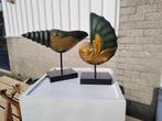 2 mooie grotere houten schelp sculpturen beelden, Antiek en Kunst, Kunst | Beelden en Houtsnijwerken, Ophalen of Verzenden