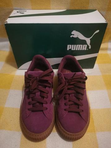 Puma suede platform SNK Jr in dark purple-marshmallow (35.5) beschikbaar voor biedingen