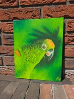Prachtige olie schilderij papagaaien kop van Frank van Wegel, Antiek en Kunst, Kunst | Schilderijen | Modern, Ophalen of Verzenden