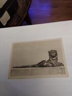 LIGGENDE LEEUW. BRONS, Ophalen of Verzenden, Klederdracht