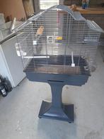 Kanarie +kooi, Dieren en Toebehoren, Vogels | Kanaries, Mannelijk