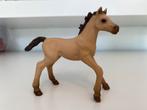 Schleich Engels volbloed veulen 97780, Ophalen of Verzenden, Paard