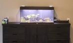 180 liter juwel aquarium inclusief toebehoren, Ophalen, Gebruikt, Leeg aquarium