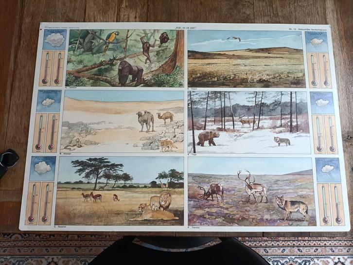 Vintage Schoolplaat Nr. 112 - Landschappen en Klimaten, Antiek en Kunst, Antiek | Schoolplaten, Natuur en Biologie, Ophalen