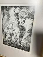 Ets Koe met Kalf - Eigen Werk, Antiek en Kunst, Kunst | Etsen en Gravures, Ophalen of Verzenden