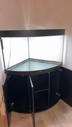 Aquarium hoek jewel 190 liter, Dieren en Toebehoren, Vissen | Aquaria en Toebehoren, Ophalen, Gebruikt, Leeg aquarium