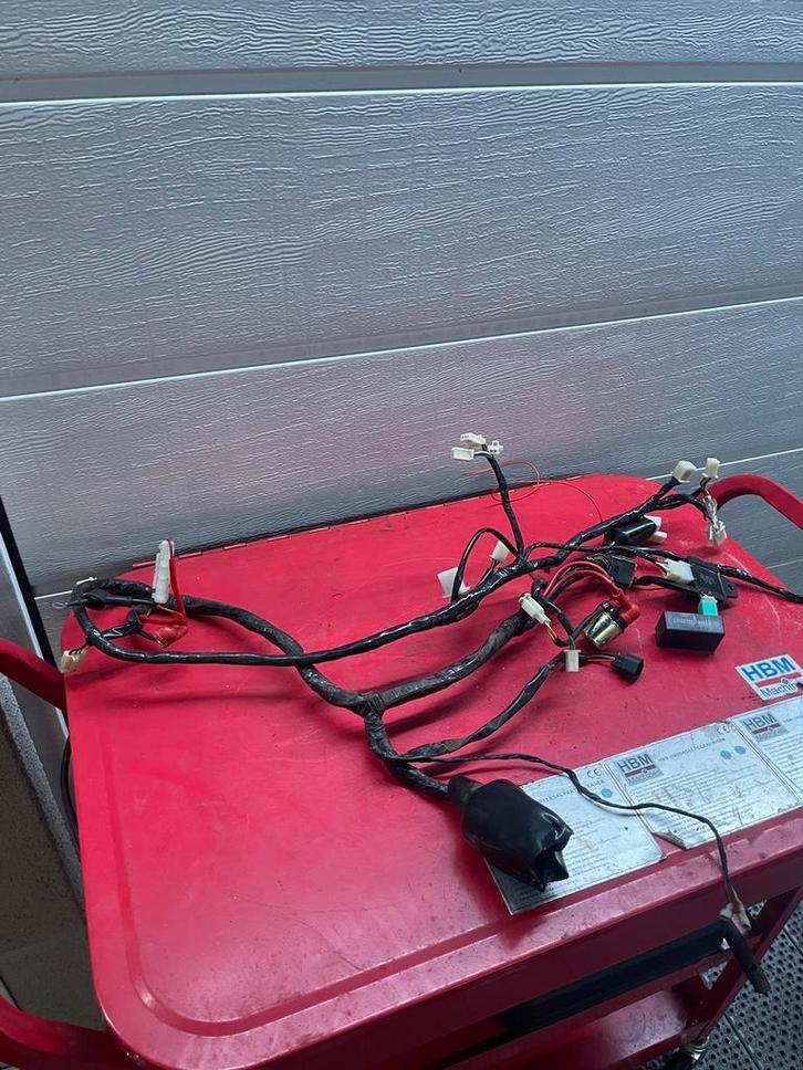 AGM/BTC R8 - Kabelboom / Kabelharnas 2020, Fietsen en Brommers, Brommeronderdelen | Algemeen, Gebruikt, Overige typen, Ophalen of Verzenden