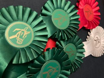 6 paardenrozetten OOK LEUK VOOR HOBBYHORSE beschikbaar voor biedingen