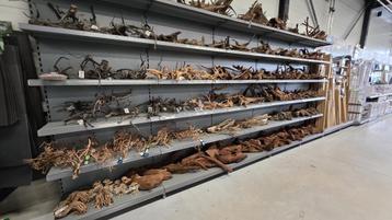 Decoratiehout voor in je aquarium beschikbaar voor biedingen