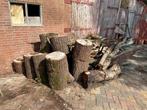 hout voor haard, Minder dan 3 m³, Ophalen, Overige houtsoorten, Blokken