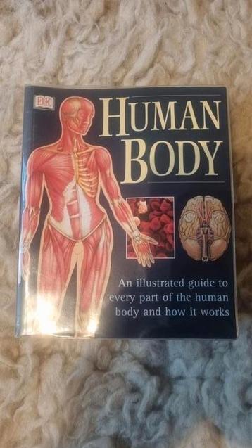 Human Body beschikbaar voor biedingen