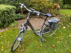 Giant Twist GO Double Power elektrische fiets, Fietsen en Brommers, Ophalen, Minder dan 30 km per accu, Gebruikt, Giant