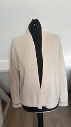 Josephine Co merino wool vest maat L, Kleding | Dames, Truien en Vesten, Ophalen of Verzenden, Zo goed als nieuw, Maat 38/40 (M)