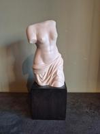 Torso op Sokkel, Ophalen of Verzenden