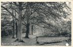 9197 Renkum, Bosgezicht, Verzamelen, Ansichtkaarten | Nederland, Ophalen of Verzenden, Gelderland