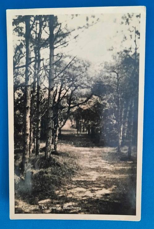 Ansichtkaart Ameland De groote Boschweg 1947, Verzamelen, Ansichtkaarten | Nederland, Gelopen, Waddeneilanden, 1940 tot 1960, Ophalen of Verzenden