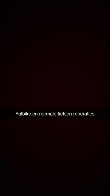 Fatbike en fiets reparaties beschikbaar voor biedingen