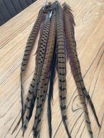 Fazant veren, Ophalen of Verzenden, Zo goed als nieuw