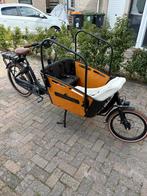 Qivelo Curve 2 Elektrische Bakfiets, 4 kinderen of meer, Gebruikt, Elektrisch, Ophalen