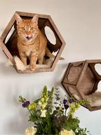 Katten klimwand, Dieren en Toebehoren, Katten-accessoires, Ophalen of Verzenden, Zo goed als nieuw