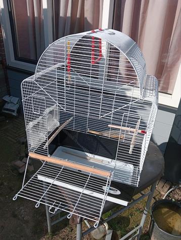 Vogel kooi voor tamme vogels