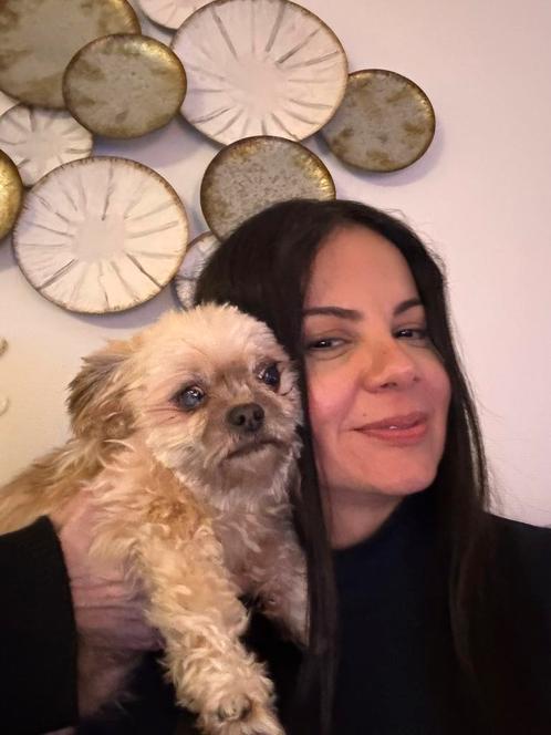 Lieve hondenoppas in Hoofddorp, Diensten en Vakmensen, Dieren | Honden | Verzorging, Oppas en Les, Particuliere oppas