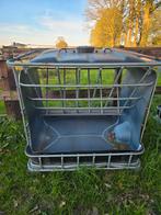 Hooiruif, Dieren en Toebehoren, Overige Dieren, Meerdere dieren, Voor 1 juli 2024