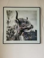 Foto schilderij 50x50 cm, Ophalen, 50 tot 75 cm, Zo goed als nieuw, Schilderij