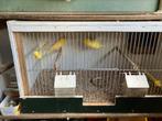 Bewezen koppel kanaries, Ophalen of Verzenden, Zo goed als nieuw, Hout, Vogelkooi