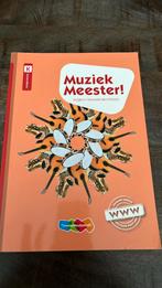 Rinze van der Lei - Muziek Meester!, Rinze van der Lei; Lieuwe Noordam; Frans Haverkort, Ophalen of Verzenden, Zo goed als nieuw