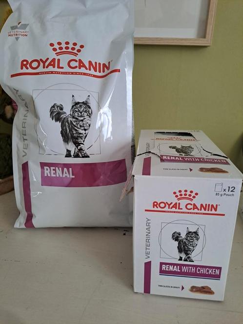 Royal canin kattenvoer, Dieren en Toebehoren, Dierenvoeding, Kat, Ophalen