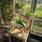 Retro Rotan plantenhouder, Ophalen