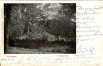 Boslandschap in Voorthuizen, Verzamelen, Ophalen of Verzenden, Voor 1920, Gelopen, Gelderland