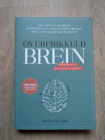 Overprikkeld brein - Charlotte Labee beschikbaar voor biedingen
