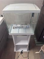 Wit superfish start 50 aquarium met wit kastje, Dieren en Toebehoren, Vissen | Aquaria en Toebehoren, Ophalen, Gebruikt, Leeg aquarium