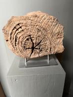 Boomschijf kunstobject, Antiek en Kunst, Kunst | Designobjecten, Ophalen of Verzenden