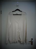 Wit Hema vest met lange mouw, maat XL/44, Wit, Maat 46/48 (XL) of groter, Ophalen of Verzenden, Gedragen