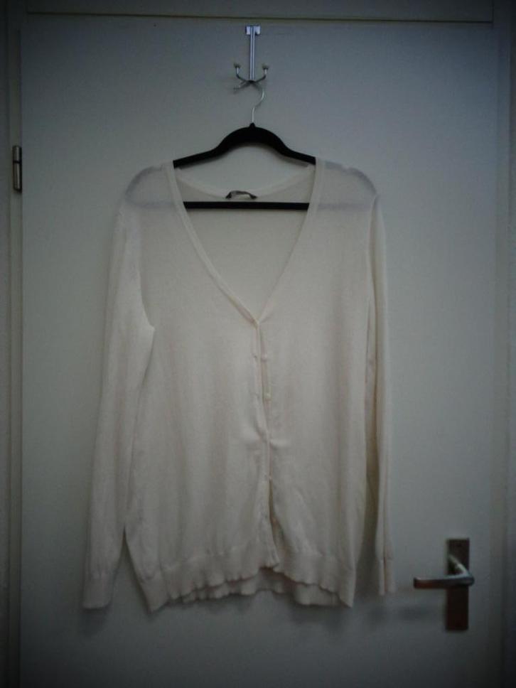 Wit Hema vest met lange mouw, maat XL/44, Kleding | Dames, Truien en Vesten, Gedragen, Maat 46/48 (XL) of groter, Wit, Ophalen of Verzenden
