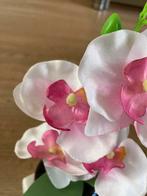 Orchidee-stukje, nieuw!, Ophalen of Verzenden, Nieuw, Binnen