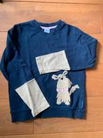 Zweedse trui maat 122/128, Ophalen of Verzenden, Zo goed als nieuw, Jongen of Meisje