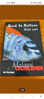 Gids voor Malawi cichliden, Dieren en Toebehoren, Vis