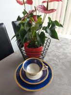 Bavaria teacup, Ophalen