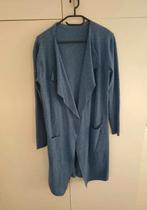 Mooie kleur blauw vest mt L 40 misschien 42 💙, Ophalen of Verzenden, Gedragen, Maat 38/40 (M), Blauw