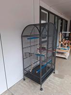 Grote papagaaien kooi, Dieren en Toebehoren, Hondenhokken, Ophalen, Zo goed als nieuw, 75 tot 110 cm, Minder dan 65 cm